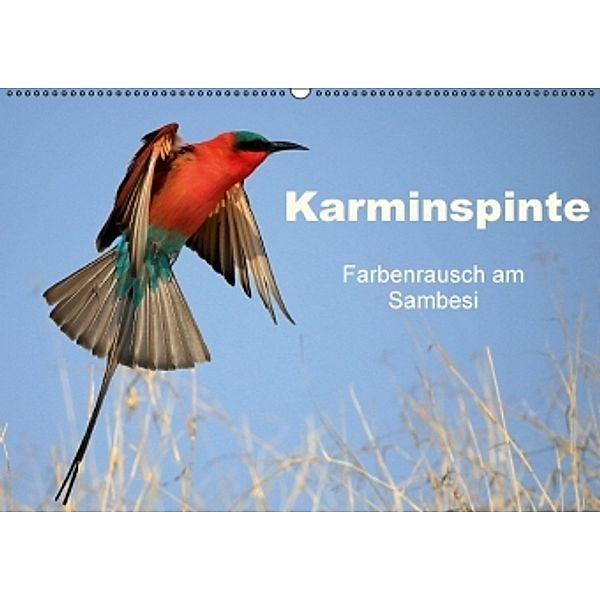 Karminspinte - Farbenrausch am Sambesi (Wandkalender 2016 DIN A2 quer), Michael Herzog