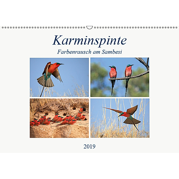 Karminspinte - Farbenrausch am Sambesi (Wandkalender 2019 DIN A2 quer), Michael Herzog