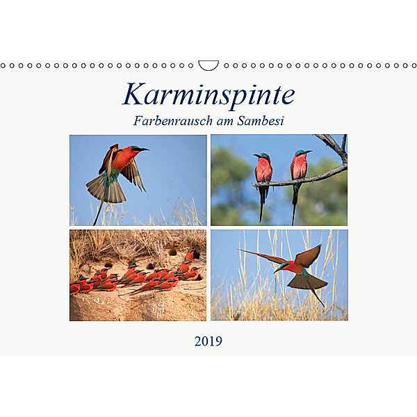 Karminspinte - Farbenrausch am Sambesi (Wandkalender 2019 DIN A3 quer), Michael Herzog