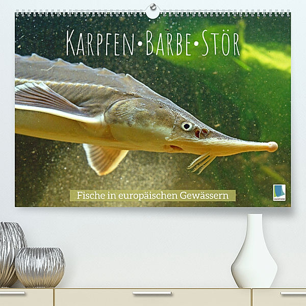 Karpfen, Barbe, Stör: Fische in europäischen Gewässern (Premium, hochwertiger DIN A2 Wandkalender 2023, Kunstdruck in Hochglanz), Calvendo