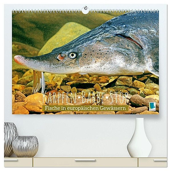 Karpfen, Barbe, Stör: Fische in europäischen Gewässern (hochwertiger Premium Wandkalender 2024 DIN A2 quer), Kunstdruck in Hochglanz, Calvendo