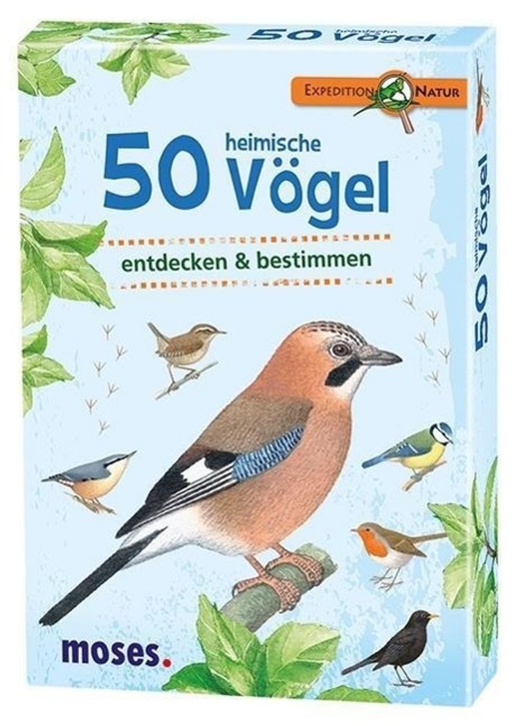 Kartenset 50 heimische Vögel kaufen | tausendkind.at