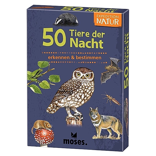 moses Verlag Kartenset EXPEDITION NATUR - 50 TIERE DER NACHT, Carola von Kessel