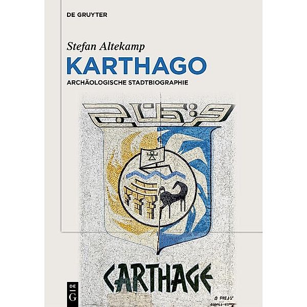 Karthago, Stefan Altekamp