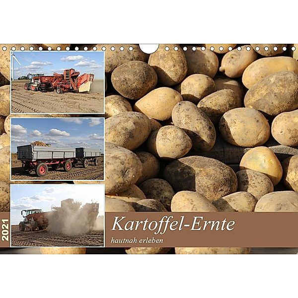 Kartoffel-Ernte - hautnah erleben (Wandkalender 2021 DIN A4 quer), Schnellewelten