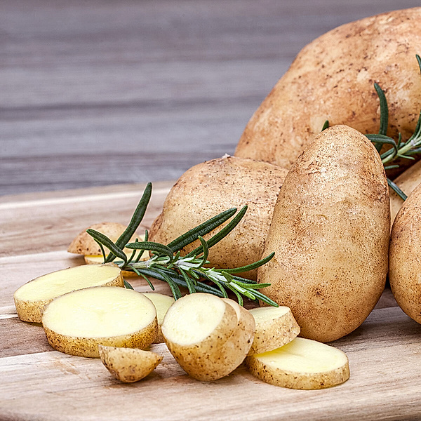 Kartoffelpflanze Adessa® Protect