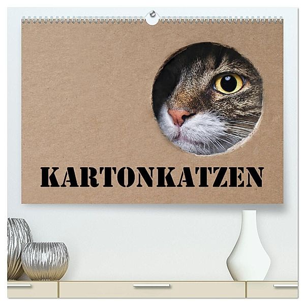 Karton Katzen (hochwertiger Premium Wandkalender 2024 DIN A2 quer), Kunstdruck in Hochglanz, Thorsten Nilson