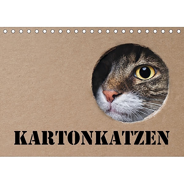 Karton Katzen (Tischkalender 2021 DIN A5 quer), Thorsten Nilson