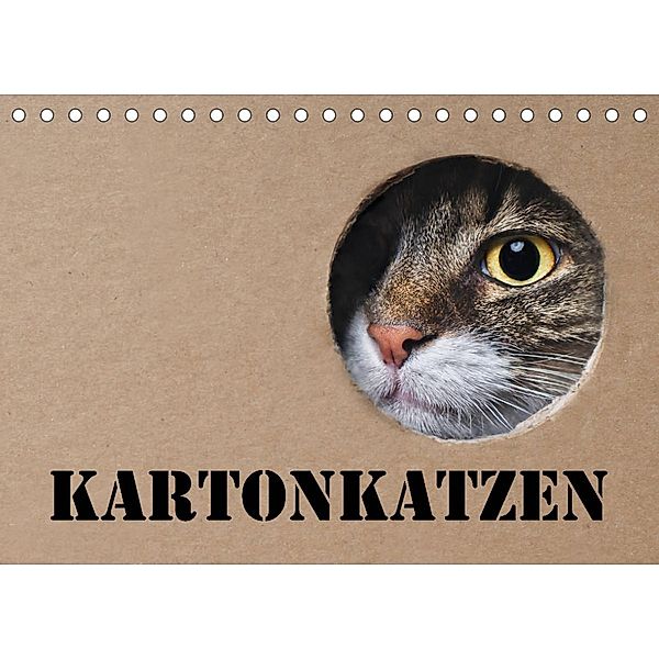 Karton Katzen (Tischkalender 2023 DIN A5 quer), Thorsten Nilson