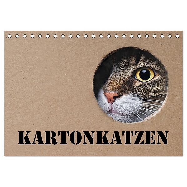 Karton Katzen (Tischkalender 2024 DIN A5 quer), CALVENDO Monatskalender, Thorsten Nilson
