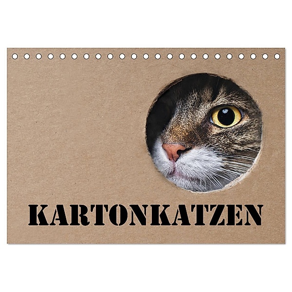Karton Katzen (Tischkalender 2025 DIN A5 quer), CALVENDO Monatskalender, Calvendo, Thorsten Nilson