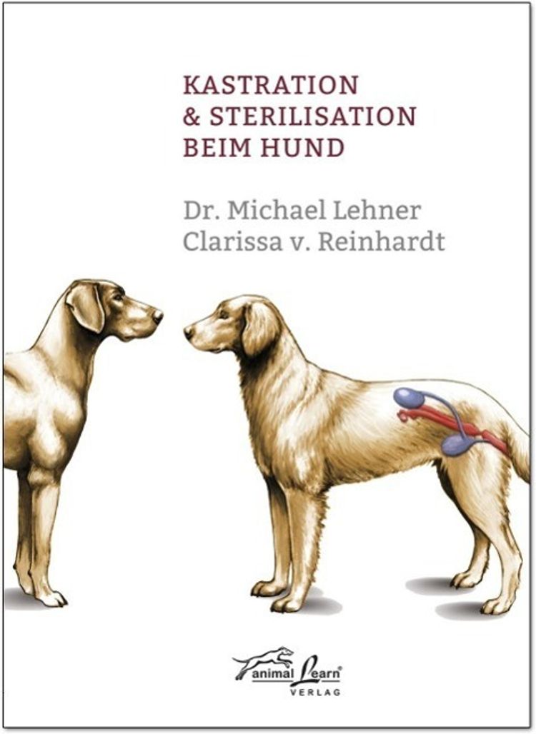 Kastration & Sterilisation beim Hund Buch versandkostenfrei - Weltbild.de