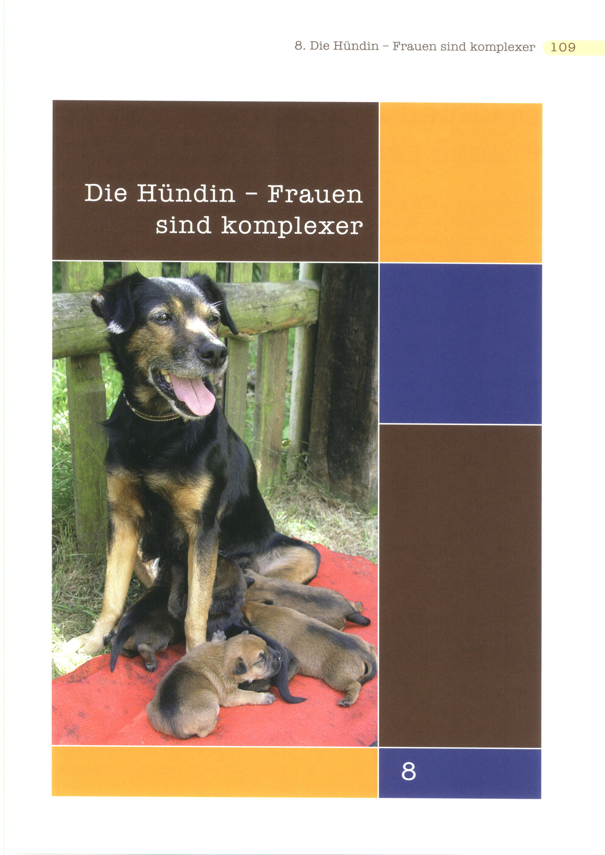 Kastration und Verhalten beim Hund Buch versandkostenfrei bei Weltbild.ch