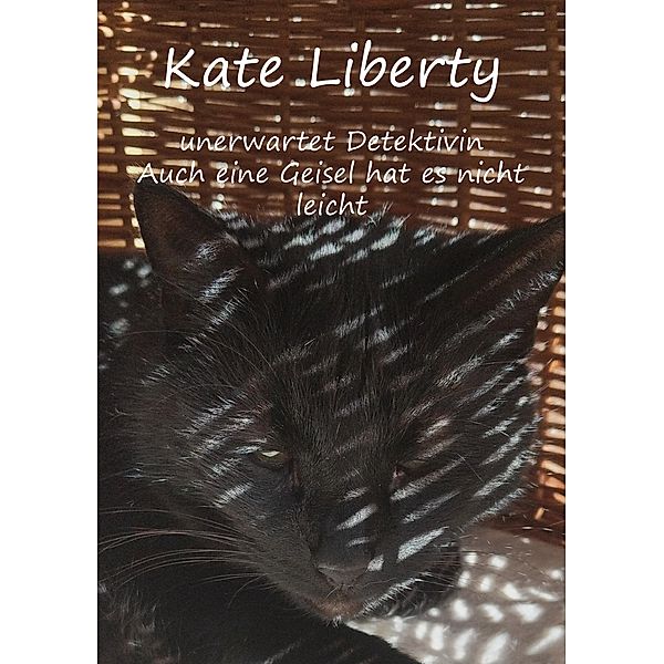 Kate Liberty - Unerwartet Detektivin / Auch eine Geisel hat es nicht leicht, Christine Stutz
