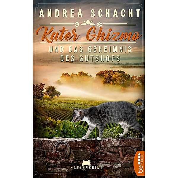 Kater Ghizmo und das Geheimnis des Gutshofs / Jenny & Ghizmo Bd.01, Andrea Schacht