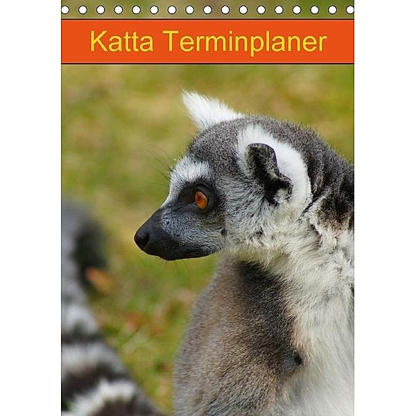 Katta Terminplaner (Tischkalender 2017 DIN A5 hoch), Kattobello