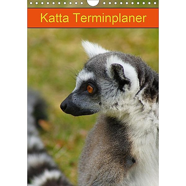 Katta Terminplaner (Wandkalender 2021 DIN A4 hoch), Kattobello