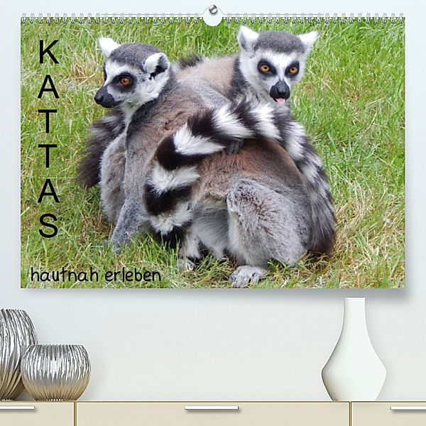 Kattas hautnah erleben (Premium, hochwertiger DIN A2 Wandkalender 2023, Kunstdruck in Hochglanz), T. Kneer
