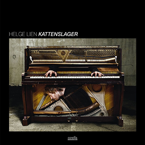 Kattenslager, Helge Lien