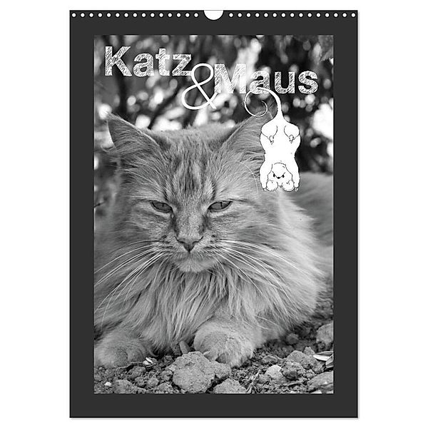 Katz & Maus (Wandkalender 2024 DIN A3 hoch), CALVENDO Monatskalender, Julia Koch