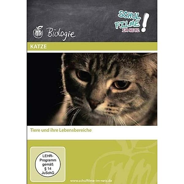 Katze, 1 DVD