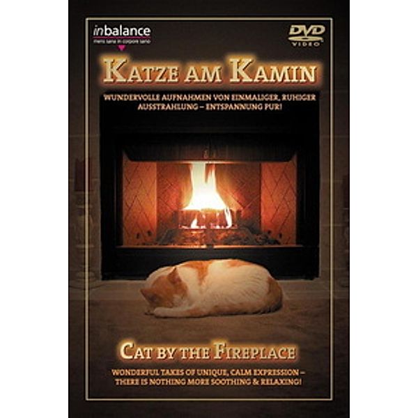 Katze am Kamin, Diverse Interpreten