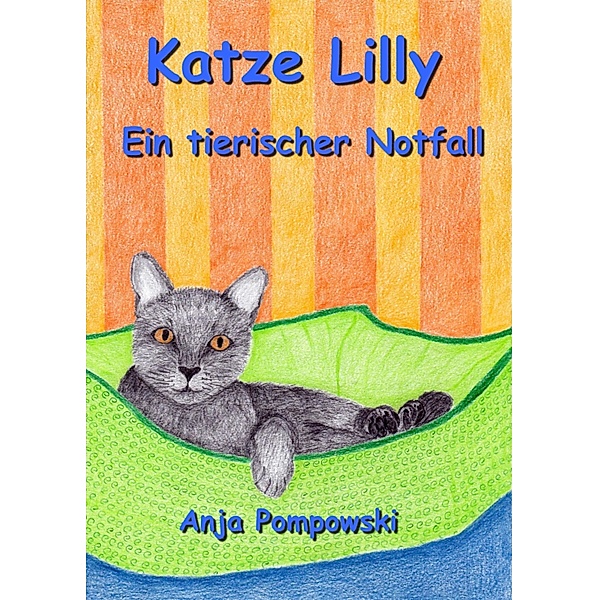 Katze Lilly - Ein tierischer Notfall, Anja Pompowski