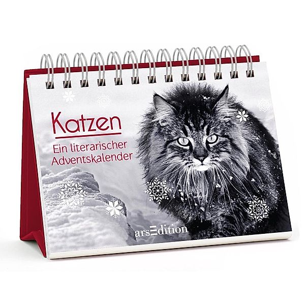 Katzen