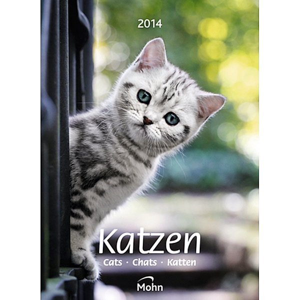 Katzen 2014