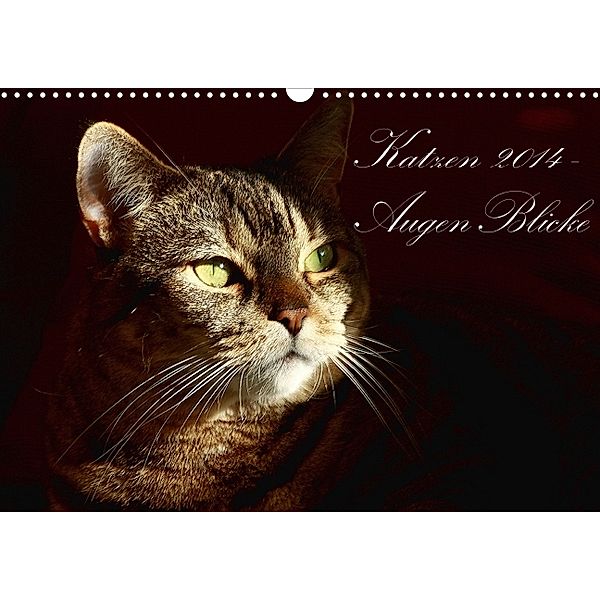 Katzen 2014 - AugenBlicke (Wandkalender 2014 DIN A3 quer), Friederike Pfeiffer-Kucht