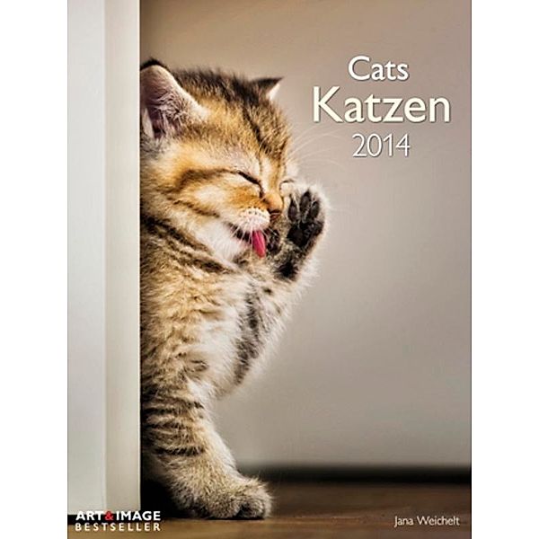 Katzen 2014 Posterkalender