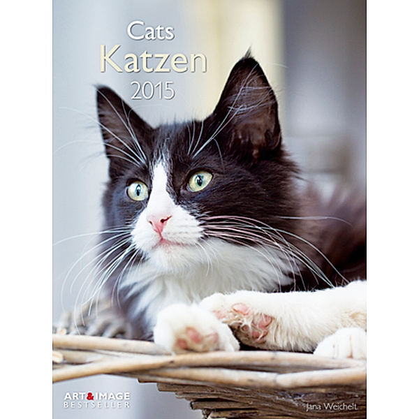 Katzen 2015, Jana Weichelt