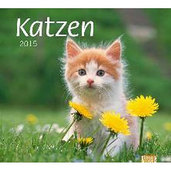 Katzen 2015