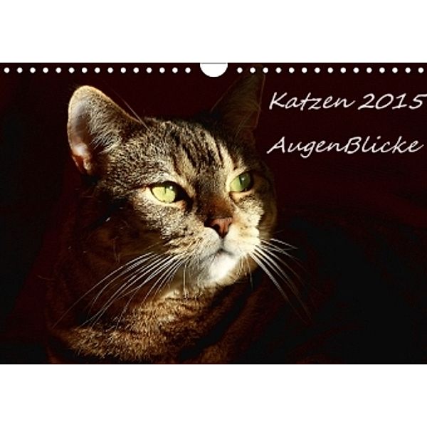 Katzen 2015 - AugenBlicke (Wandkalender 2015 DIN A4 quer), Friederike Pfeiffer-Kucht