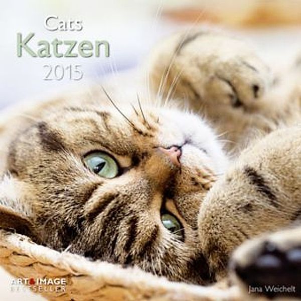 Katzen 2015 Broschürenkalender, Jana Weichelt