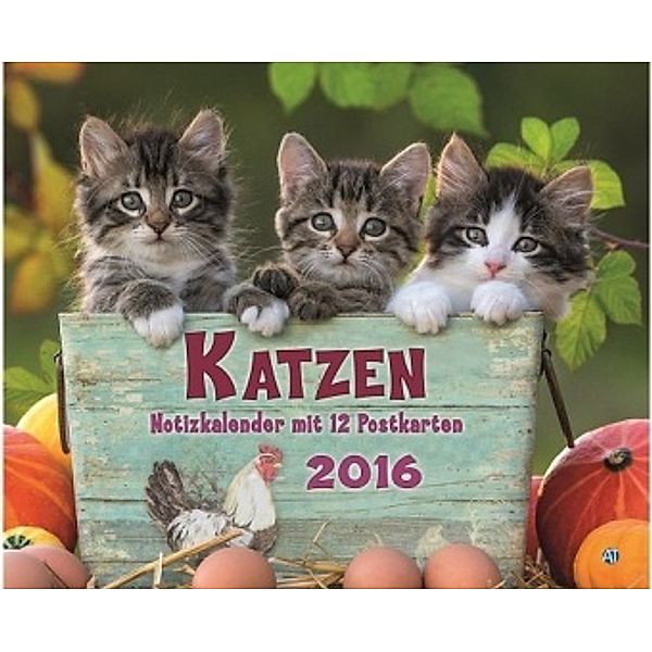 Katzen 2016