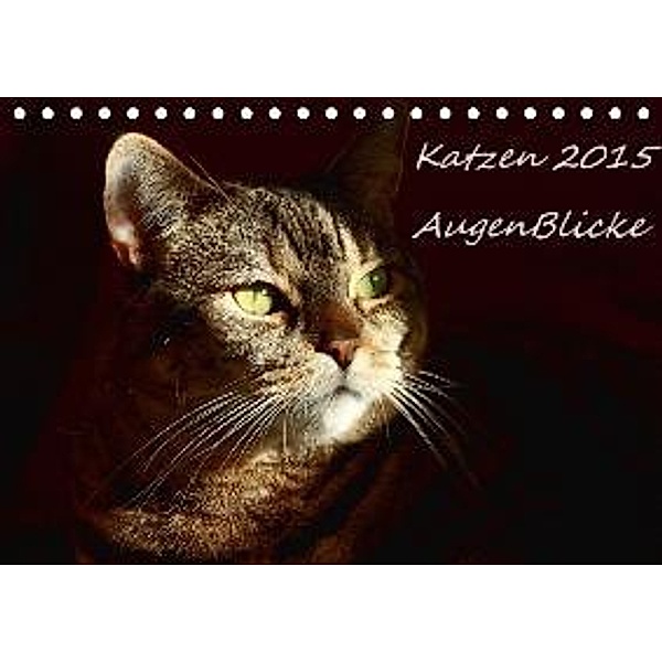Katzen 2016 - AugenBlicke (Tischkalender 2016 DIN A5 quer), Friederike Pfeiffer-Kucht