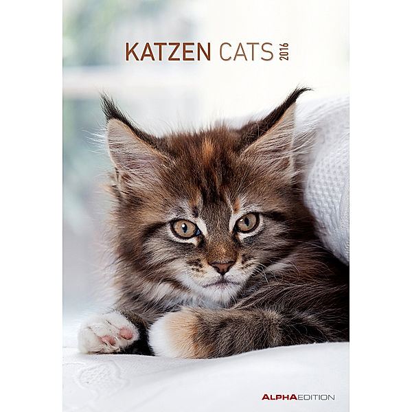 Katzen 2016. Cats