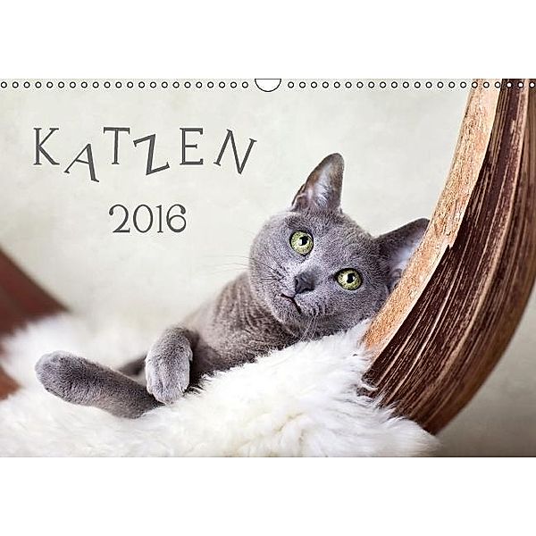 Katzen 2016 (Wandkalender 2016 DIN A3 quer), Nailia Schwarz