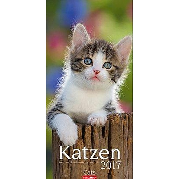 Katzen 2017, Jean-Louis Klein, Marie-Luce Hubert