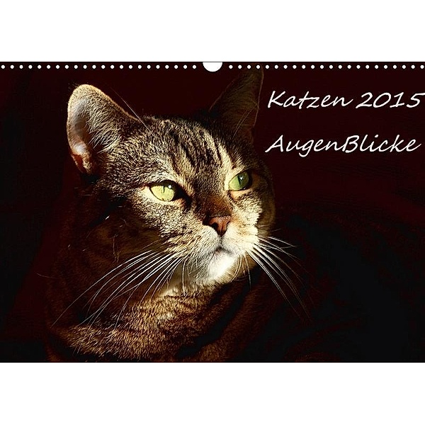Katzen 2017 - AugenBlicke (Wandkalender 2017 DIN A3 quer), Friederike Pfeiffer-Kucht