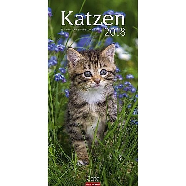 Katzen 2018, Marie-Luce Hubert, Jean-Louis Klein
