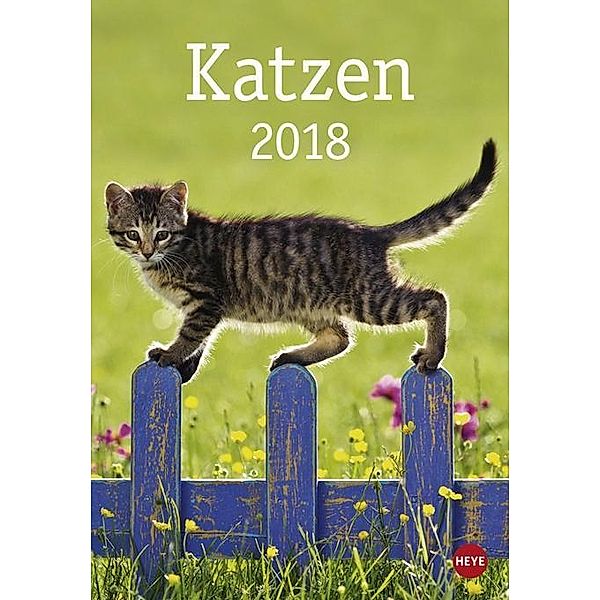 Katzen 2018