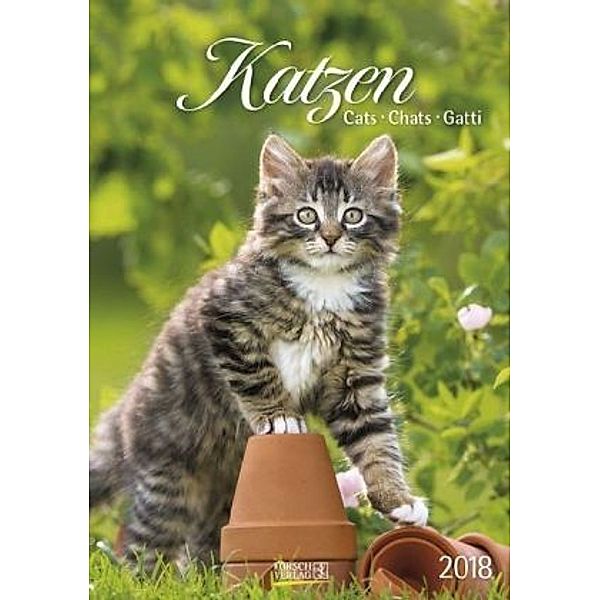 Katzen 2018