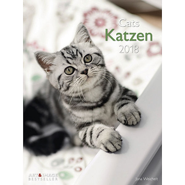 Katzen 2018 A&I