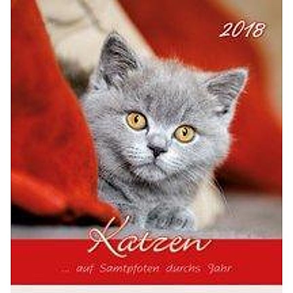 Katzen 2018 Postkartenkalender