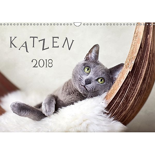 Katzen 2018 (Wandkalender 2018 DIN A3 quer), Nailia Schwarz