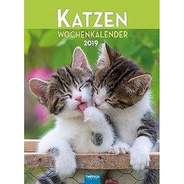 Katzen 2019