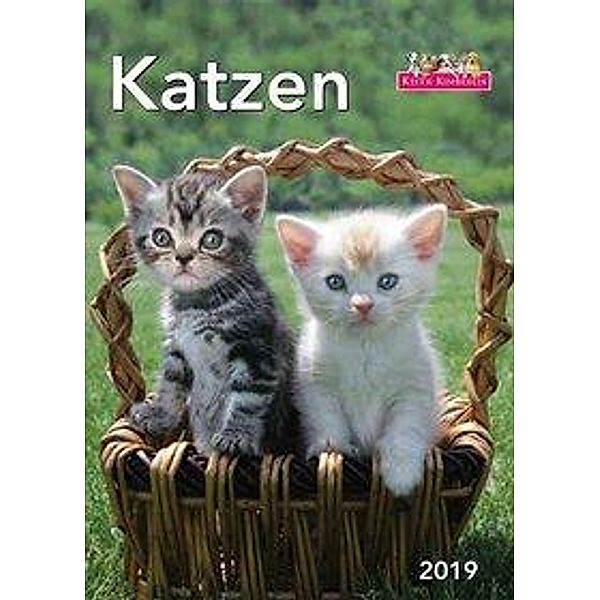 Katzen 2019