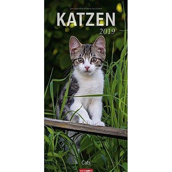 Katzen 2019, Jean-Louis Klein, Marie-Luce Hubert